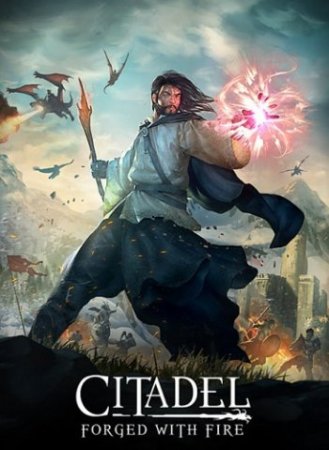Citadel: Forged with Fire (2019) PC | Лицензия