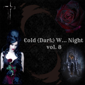 VA - Cold (Dark) W... Night vol. 8 [by The Sound Archive] (2020) MP3